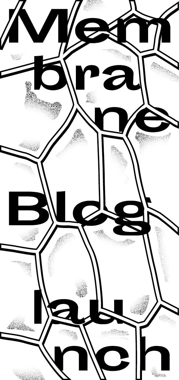 Membrane Blog Launch