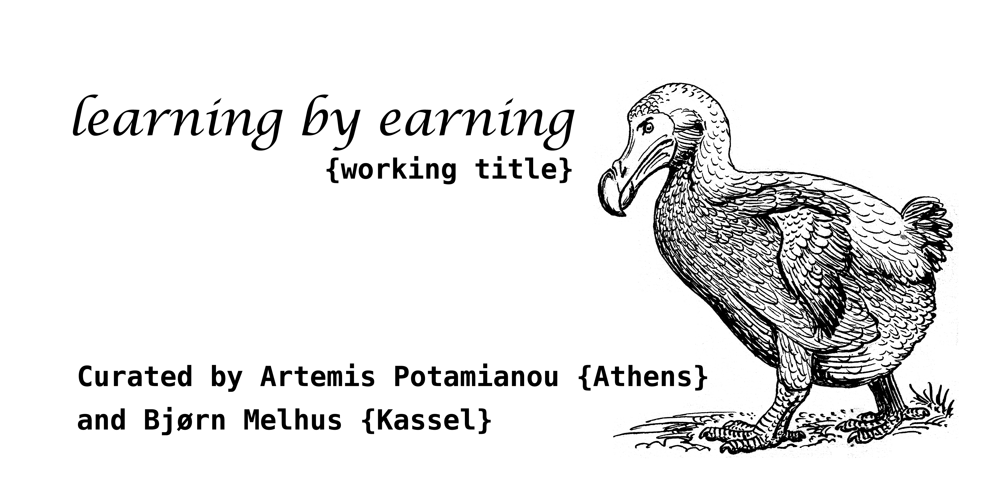 learning by earning