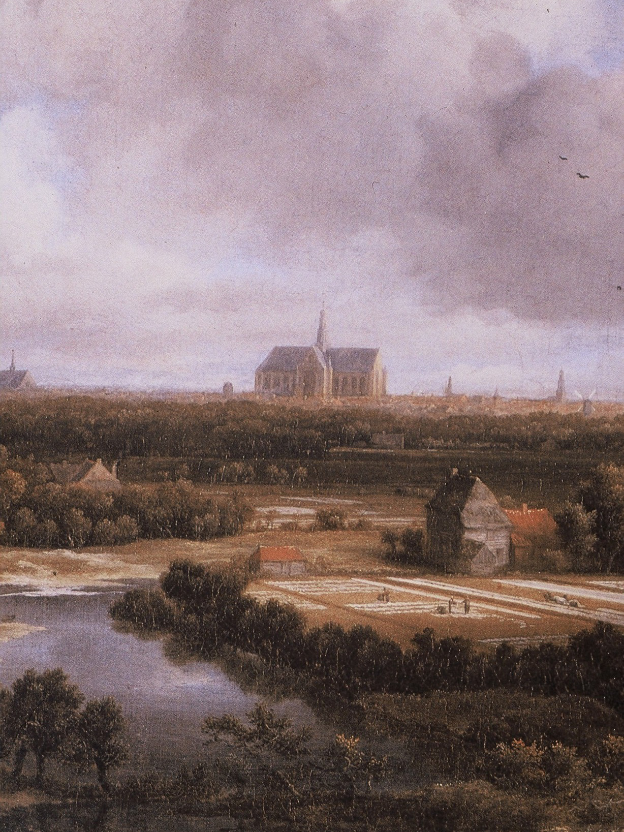 „Glücklich aus der Natur gegriffen“ - Goethes Augenschein und Ruisdaels malerische Leistung