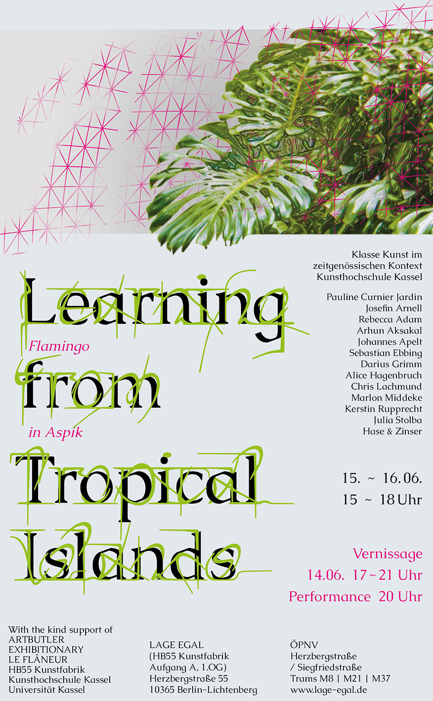 Learning from Tropical Islands - Flamingo in Aspik