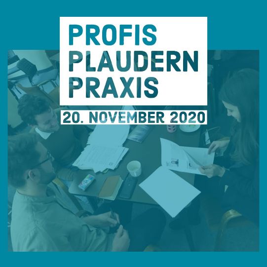 Profis Plaudern Praxis XII / Praxis Dokfest